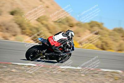 media/Oct-24-2025-2WTD (Fri) [[491f36c2bf]]/C Group/Session 4 (Turn 7)/